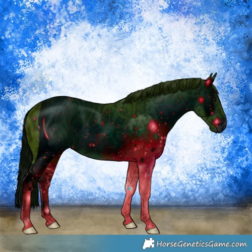 Horse Color:ERROR: UNKNOWN ANOMALY