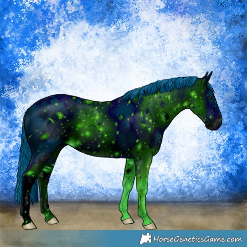 Horse Color:ERROR: UNKNOWN ANOMALY