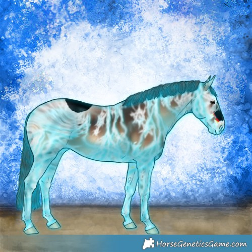 Horse Color:ERROR: UNKNOWN ANOMALY