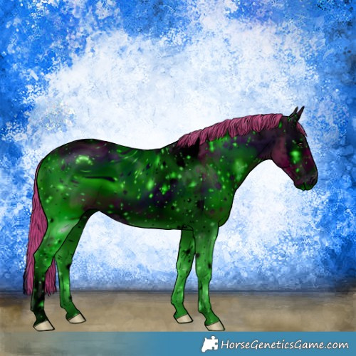Horse Color:ERROR: UNKNOWN ANOMALY