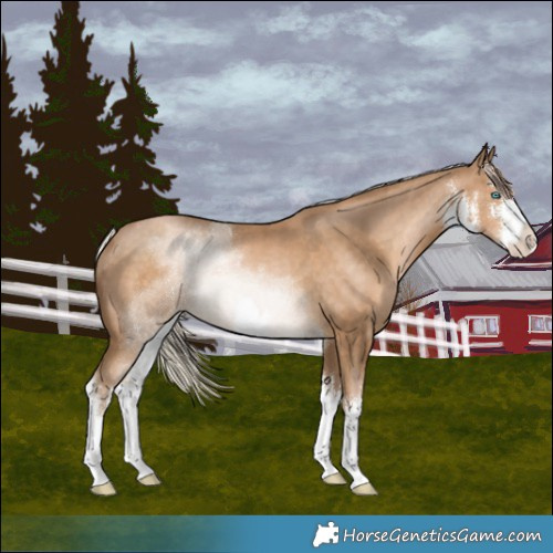 Horse Color:White Spotted Chocolate Palomino Pearl