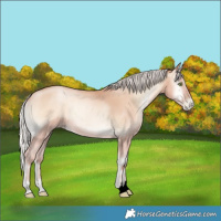Horse Color:Void Silver Sable Champagne Pearl Onyx 