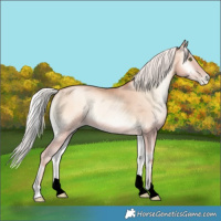 Horse Color:Void Silver Sable Champagne Pearl Onyx 