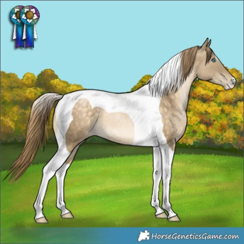 Horse Color:Buckskin Pearl Tobiano 