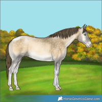 Horse Color:Buckskin Pearl Onyx Tobiano 