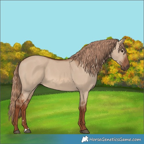 Horse Color:Red Dun