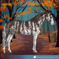 Horse Color:White Spotted Silver Brown 