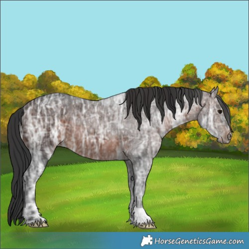 Horse Color:Brown Ice 