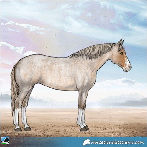 Horse Color:White Spotted Chocolate Palomino Roan Splash 