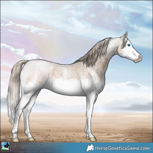 Horse Color:White Spotted Chocolate Palomino Roan Splash 