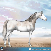 Horse Color:White Spotted Chocolate Palomino Roan Splash