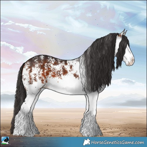 Horse Color:White Spotted Bay Splash Rabicano 