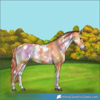 Horse Color:Nacre Watercolor White Spotted Liver Red Onyx