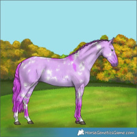 Horse Color:Watercolor White Spotted Liver Red Dun Rabicano 