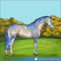 Horse Color:Watercolor White Spotted Brown Onyx