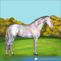 Horse Color:Nacre Watercolor White Spotted Liver Red Dun Pearl Rabicano