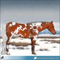 Horse Color:White Spotted Silver Bay 