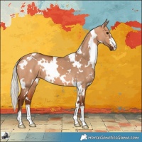 Horse Color:White Spotted Silver Bay Dun