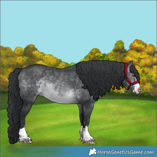 Horse Color:Brown Chinchilla
