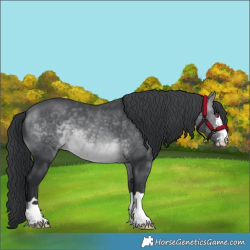 Horse Color:Brown Chinchilla