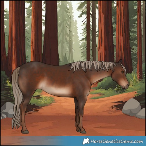 Horse Color:Liver Chestnut 