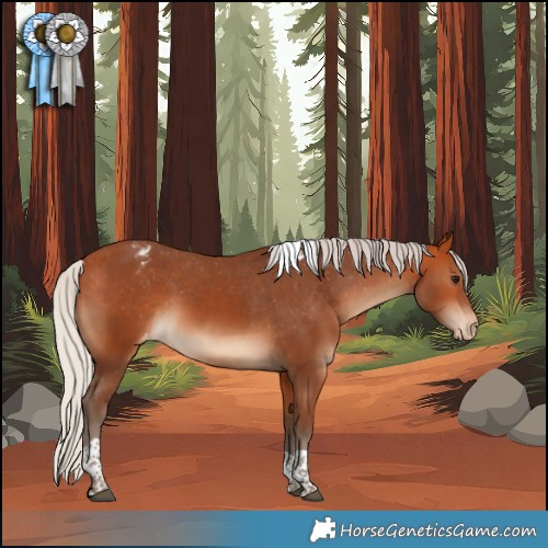 Horse Color:Silver Bay Tobiano Appaloosa 