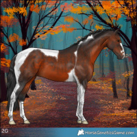 Horse Color:Brown Tobiano 
