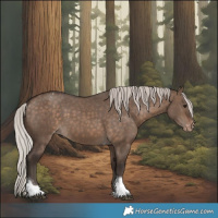 Horse Color:Silver Brown Dun Tobiano Appaloosa