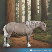 Horse Color:Silver Brown Dun Tobiano Varnish