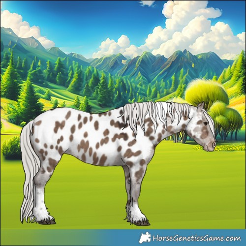 Horse Color:Silver Brown Dun Tobiano Appaloosa 