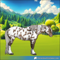 Horse Color:Silver Brown Dun Tobiano Appaloosa 