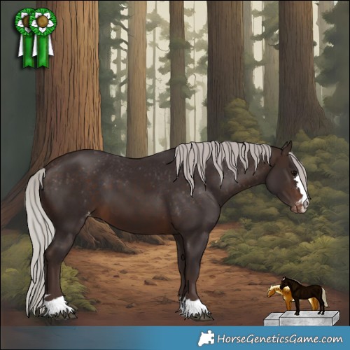 Horse Color:Silver Brown Appaloosa 