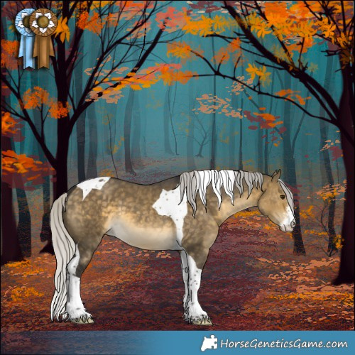 Horse Color:Silver Buckskin Dun Sabino Tobiano 