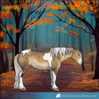 Horse Color:Silver Buckskin Dun Sabino Tobiano