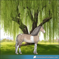 Horse Color:Silver Brown Dun Sabino Tobiano