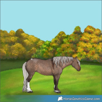 Horse Color:Silver Brown Dun Tobiano 