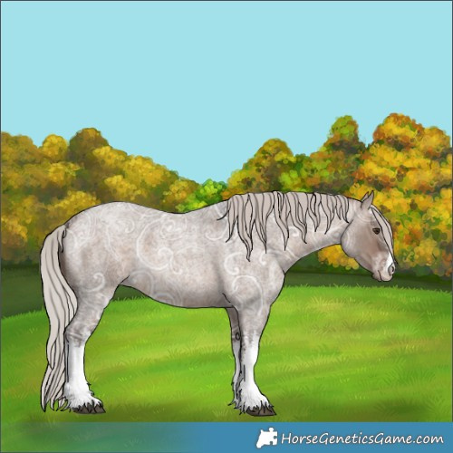 Horse Color:White Spotted Silver Brown Ice Roan Dun 