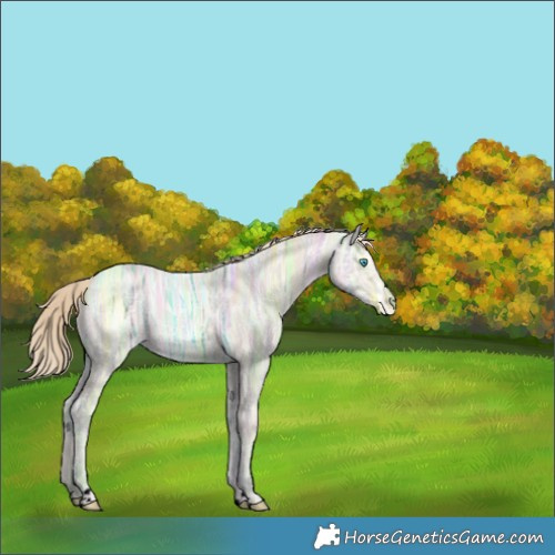 Horse Color:Void Smoky Creme Ice 