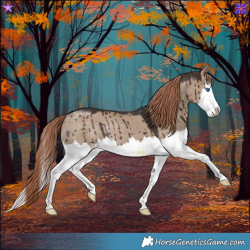 Horse Color:White Spotted Liver Red Dun Splash Rabicano Brindle