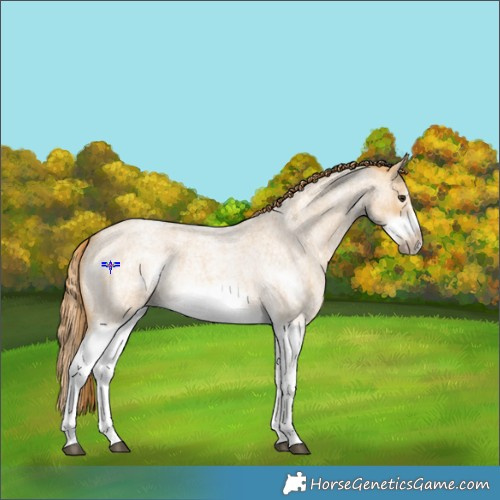Horse Color:Red Dun Roan Splash Frame Rabicano 