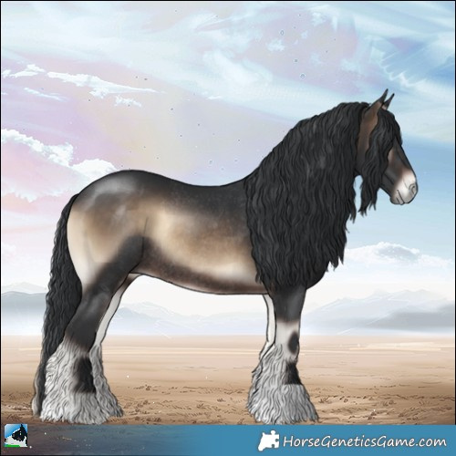 Horse Color:Brown Onyx Rabicano 