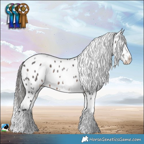 Horse Color:White Spotted Brown Sabino Appaloosa Rabicano 