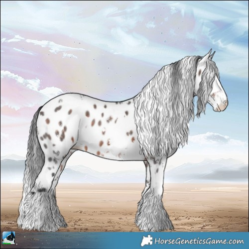 Horse Color:White Spotted Brown Sabino Appaloosa Rabicano 
