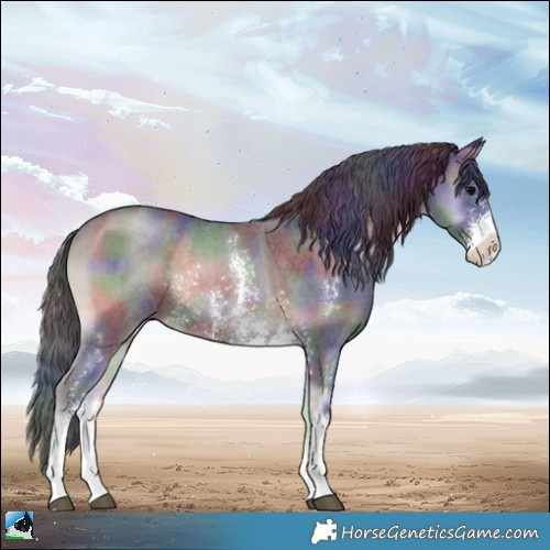 Horse Color:Nacre Blue Onyx Sabino Rabicano 