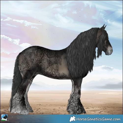 Horse Color:Blue Onyx Ice Rabicano 