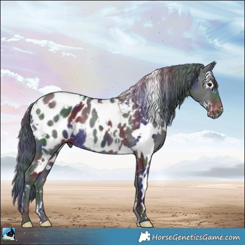 Horse Color:Nacre White Spotted Black Blanket Rabicano 