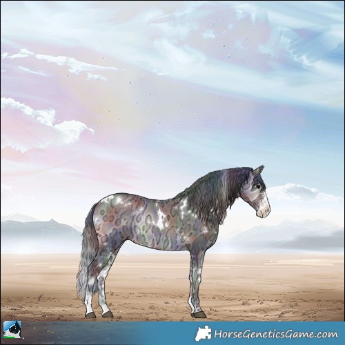 Horse Color:Nacre White Spotted Brown Ice Onyx Sabino Rabicano 
