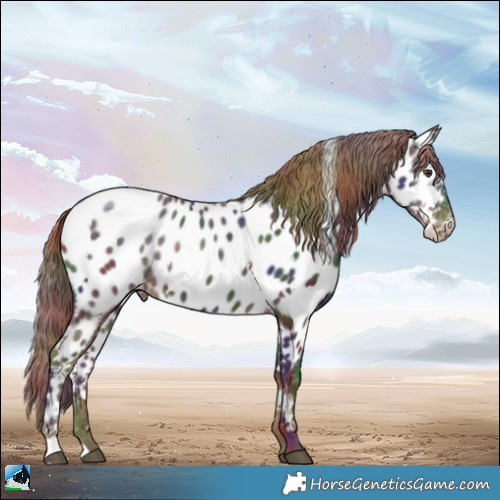 Horse Color:Nacre White Spotted Liver Chestnut Appaloosa Rabicano 