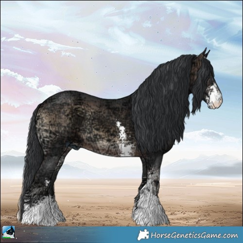 Horse Color:Brown Ice Onyx Sabino 