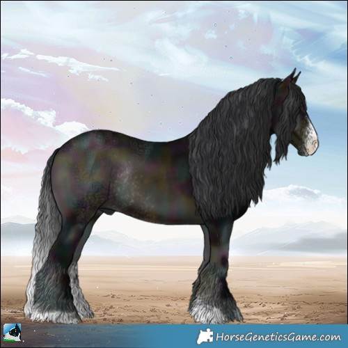 Horse Color:Midnight Brown Ice Onyx Sabino Rabicano 